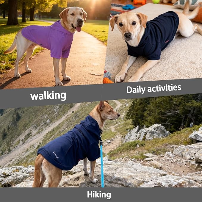 Basic Dog Hoodie Sweatshirts, Pet Clothes Hoodies Sweater with Hat and Leash Hole, Warm Outfit Coat for Large Medium Small Dogs, Dark Grey (Large)