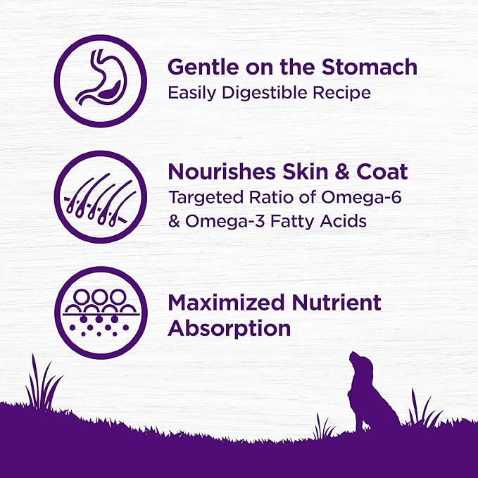 Wellness Complete Health Sensitive Skin & Stomach Dry Dog Food, Wholesome Grains, Natural, Salmon & Rice Recipe, (24-Pound Bag)
