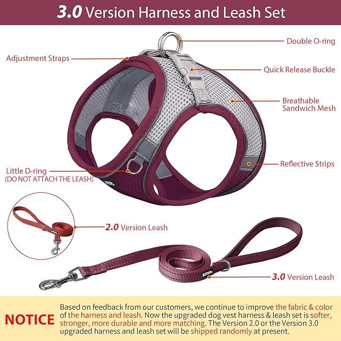 AIITLE Comfortable Dog Harness and Leash Set for Walking - Summer Step in Vest Harness,Reflective Bands, Adjustable No Pull Puppy Essentials, for Small Dogs and House Cats Burgundy XS