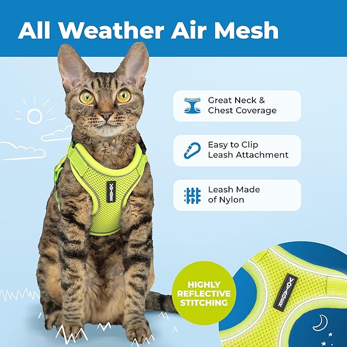 Voyager Escape Proof Cat Harness and Leash Set with Reflective Stitching, Neoprene Handle 5ft - Supports Small, Medium and Large Cats, Kittens for Walking by Best Pet Supplies - Lime, XS