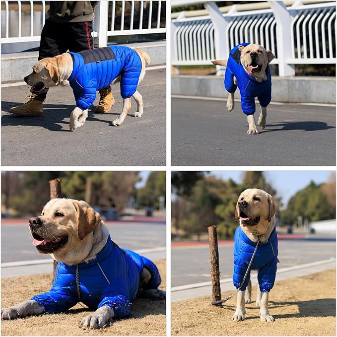 Warm Dog Jacket, 4 Legs Covered Waterproof Windproof Reflective Vest, Zippered Adjustable Outdoor Snow Jacket for Small to Large Dogs, Blue