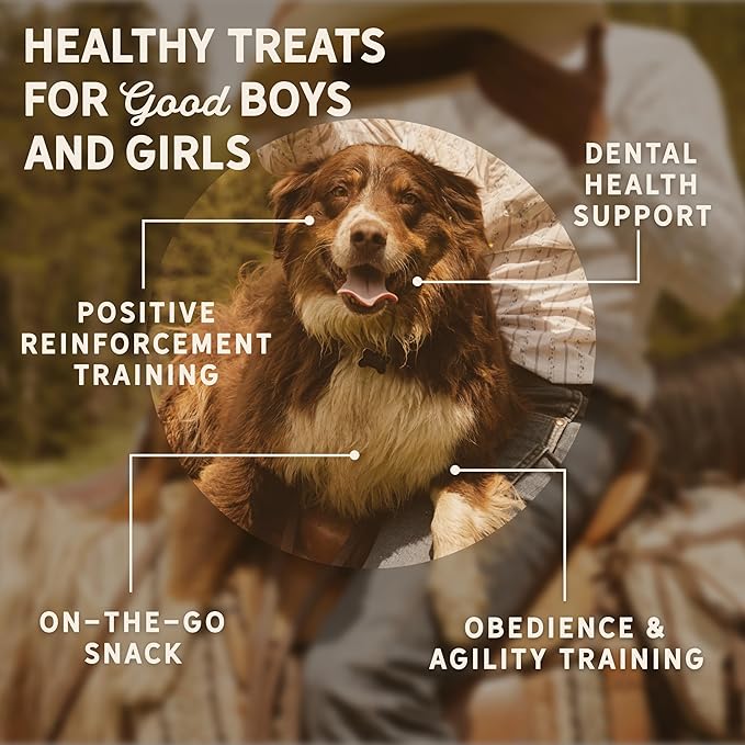 Tally's Ranch Beef Jerky Dog Treats | High Protein, 80% Beef, All Natural, 5 Simple Ingredients, No Added Sugar | Healthy Treats for Dogs | Made in The USA, 4 oz Bag