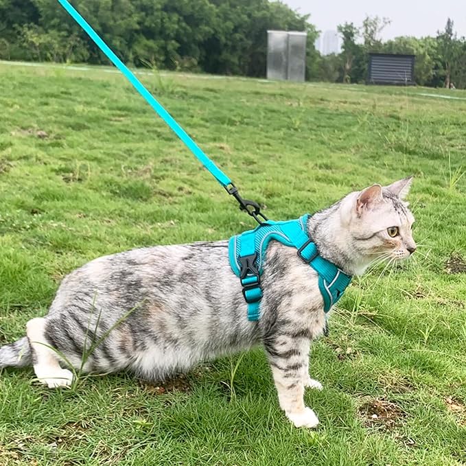 Cat Harness and Leash Set Escape Proof Tactical Extra Large Kitten Harness Emotional Support Cat Vest, Turquoise, XL