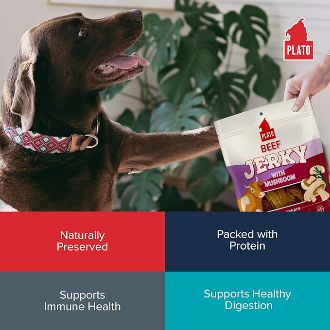 PLATO Pet Treats Jerky Dog Treats - Air-Dried Beef Jerky with Mushroom - Grain Free, High Protein - 16oz