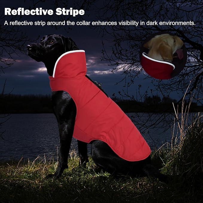 Dog Winter Coat, Waterproof Dog Jacket with Leash Hole, Reflective Adjustable Pet Snow Vest, Warm Fleece Sweater for Small Medium Large Dogs - Red, M