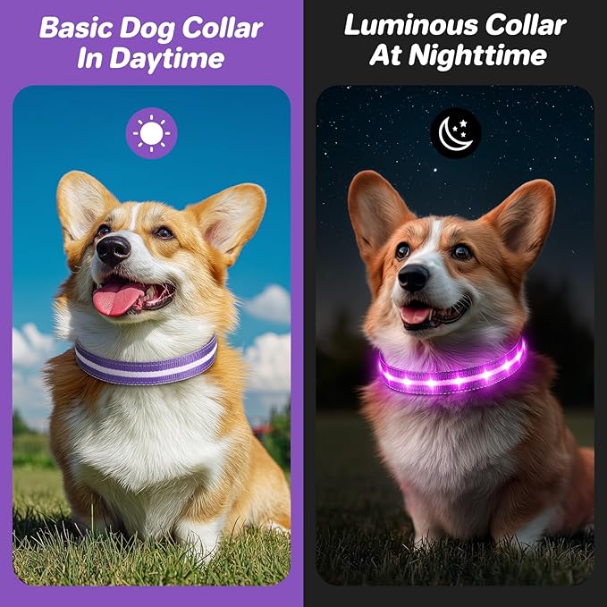 PcEoTllar Light Up Dog Collars, Led Dog Collar, Rechargeable, Night Walking, Waterproof, Glow in The Dark Dog Collars Light for Large Small Medium Dogs, Purple l
