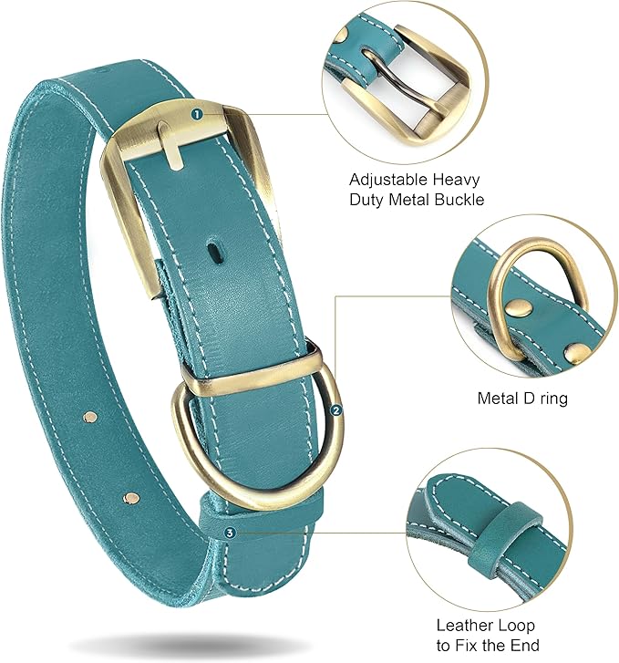 Didog Genuine Leather Dog Collars with Engraved Nameplate, Personalized Soft Leather Dog Collar with Custom ID Tag, Brown/Green/Red for Small Dogs (M,Blue)