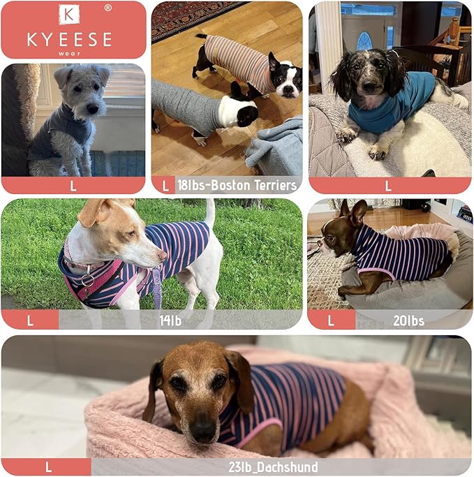 KYEESE 2Pack Dog Sweater Pullover Dog Sweaters for Small Dogs Girl Stretchy Pet Sweatshirt Small Pets Sweaters Turtleneck Pet Coats Warm Dachshund Clothes Soft Dogs Clothes
