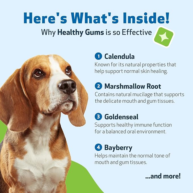 Pet Wellbeing Healthy Gums for Dogs - Topical Drops for Oral Care, Dental Health & Fresh Breath - NASC Certified & Vet-Formulated - 4 oz Liquid