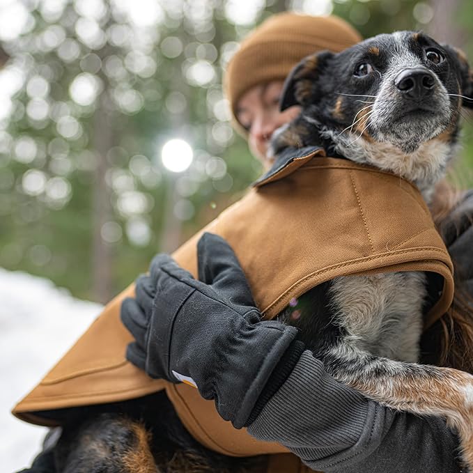 Carhartt Firm Duck Insulated Dog Chore Coat, Durable Weather Resistant Jacket for Cold and Windy Conditions, PFAS Free (Black), X-Large