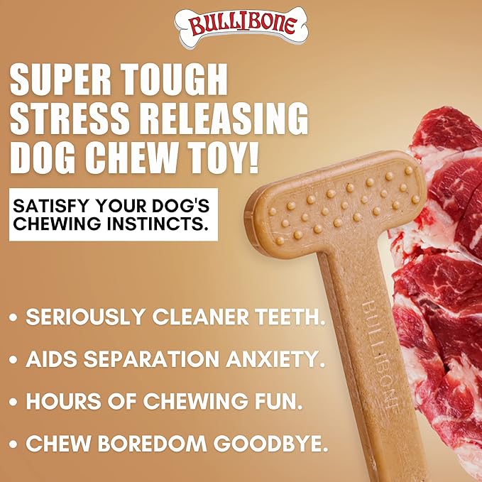 Bullibone Nylon Dog Chew Toy Nylon Bone - Improves Dental Hygiene, Easy to Grip Bottom, and Permeated with Flavor (Beef, Small - 3 Pack)