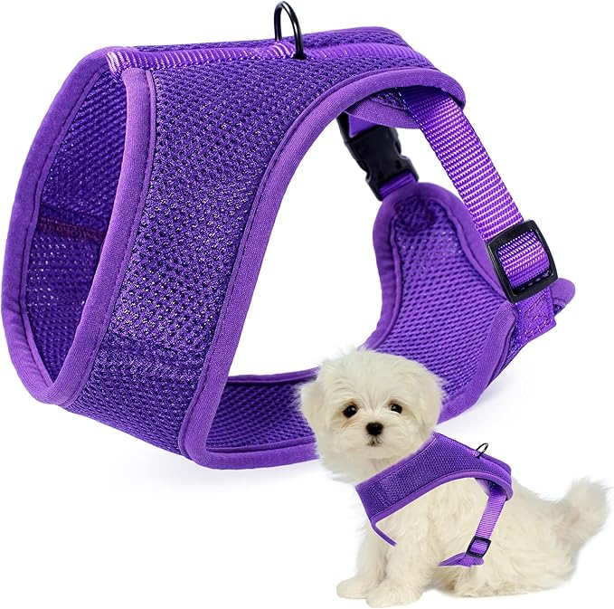 Mile High Life Step in Dog Harness for Small Dogs No Pull, Easy Get on Air Mesh Vest Harness, Adjustable Easy Closures Both Neck and Chest (Purple, L Chest 21.6"-43.2")