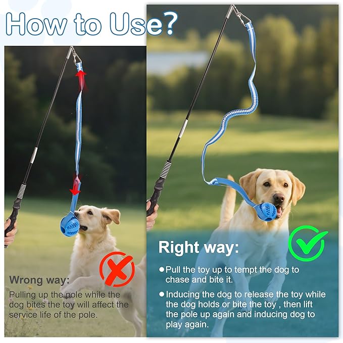 Flirt Pole for Dogs Interactive Dog Pole Toy for Large Medium Small Dogs, Sports Dog Teaser Pole for Tug of War, Flirt Pole with Lure Ball (Extended Pole + Tensile Rope)