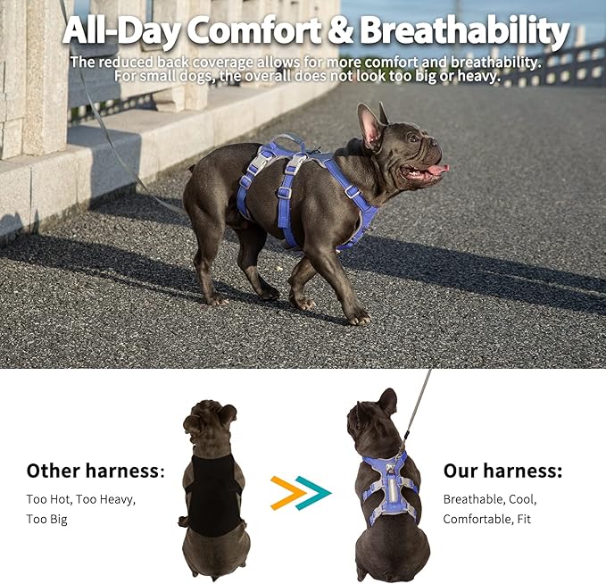 Huntboo Escape Proof Dog Harness, No Pull Reflective Harness with Lift Handle, Adjustable Pet Vest with Front and Back Leash Clips for Small Medium Large Dogs Walking Hiking Training (Vista Blue,L)