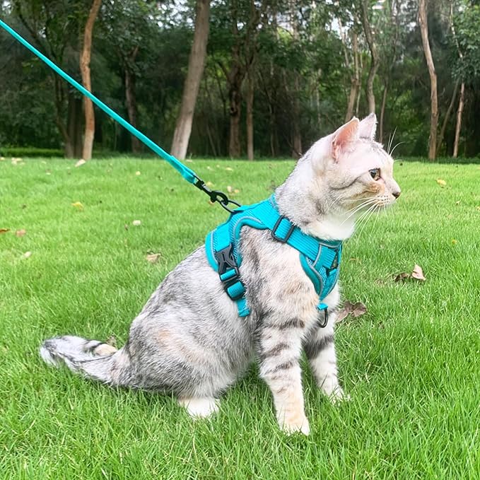 Cat Harness and Leash Set Escape Proof Tactical Medium Kitten Harness Emotional Support Cat Vest, Turquoise, M