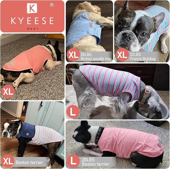 KYEESE 2Pack Dog Shirts Striped T Shirt Soft Tee for Small Dogs Cotton Tank Top Clothes Lightweight Sleeveless Dog Vest, X-Large,Green+Striped