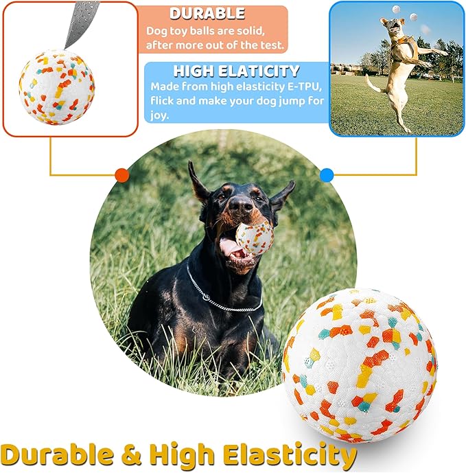 Dog Balls, Indestructible Dog Toy Ball for Aggressive Chewers, Durable High Elasticity Interactive Ball for Training Dog Catch and Fetch, Large Medium Small Dog and Puppies(2.5in, 2pcs)