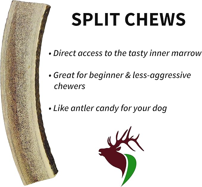 X Small Split Twin Pack (for 0-10 lb Dogs and Puppies) Premium Grade Elk Antlers for Dogs (2 Pieces) Sourced in The USA