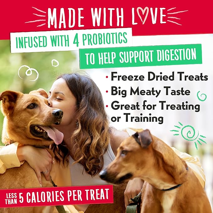 Charlee Bear Grain Free Meaty Bites Freeze Dried Dog Treats with Probiotics, Puppy Training Snacks, Soft Dog Bites Salmon with Sweet Potatoes, 2.25 oz Bags (2), Made USA