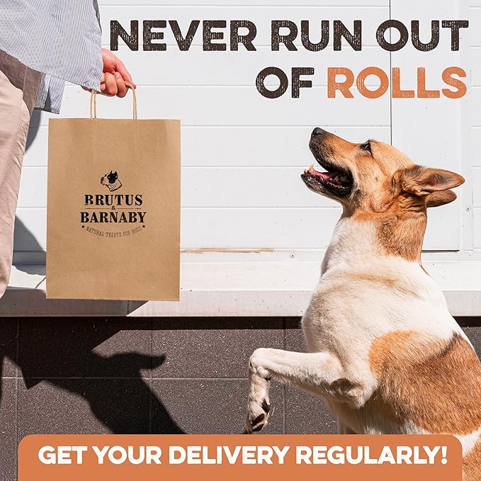 Premium Beef Cheek Rolls for Dogs 10-12" - (10-Pack), Peanut Butter Flavored Long Lasting, Safe & Natural Rawhide Alternative Chews, Ideal for Large Dogs & Aggressive Chewers, Supports Dental Health