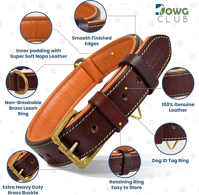 Leather Dog Collar | Leather Collar for Small Dogs, .75 Inch Wide Dog Collar Brown | Genuine, Full Grain, Heavy Duty, Comfortable, Inner Padding (Small (Fit Neck Size 11.5"-14.5"), Brown)