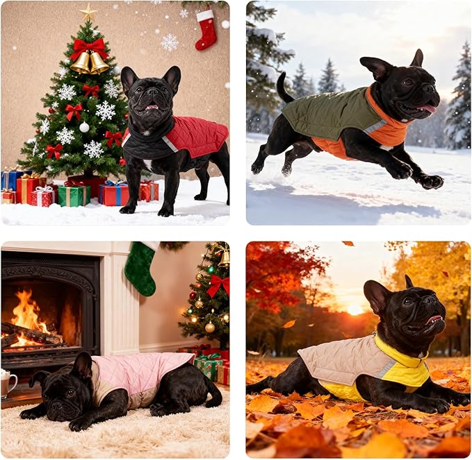 Reversible Waterproof Dog Coat - Adjustable Winter Jacket for Small to Large Breeds, Warm Cold Weather Apparel for Medium Dogs (Army Green & Orange, Large (Pack of 1))