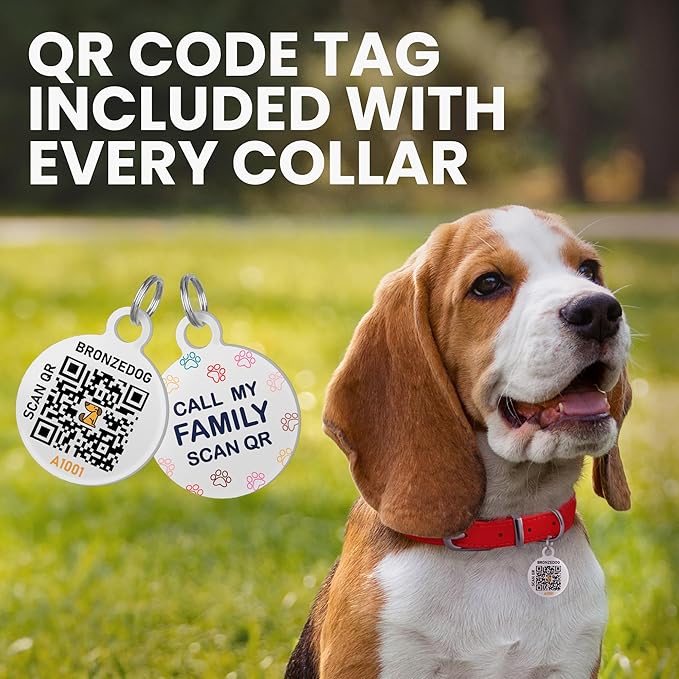 BRONZEDOG Rolled Leather Dog Collar for Small Medium Large Dogs with QR ID Tag (S: 12-14 Inch, Chocolate Brown)