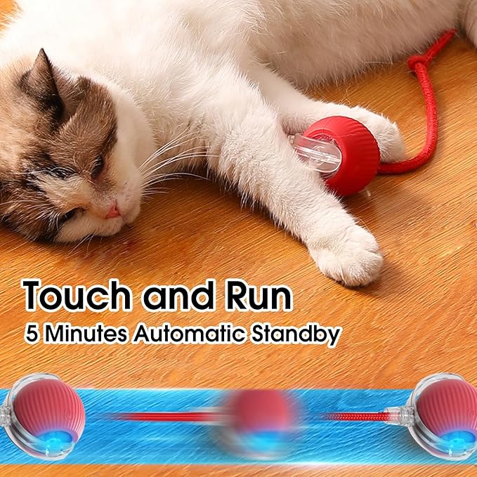 Interactive Cat Toys Ball,Movable Cat Toys, Smart 360° Automatic Rolling Pet Ball, USB Rechargeable, Ideal Christmas Pet Gift, Relieves Boredom for Indoor Cats