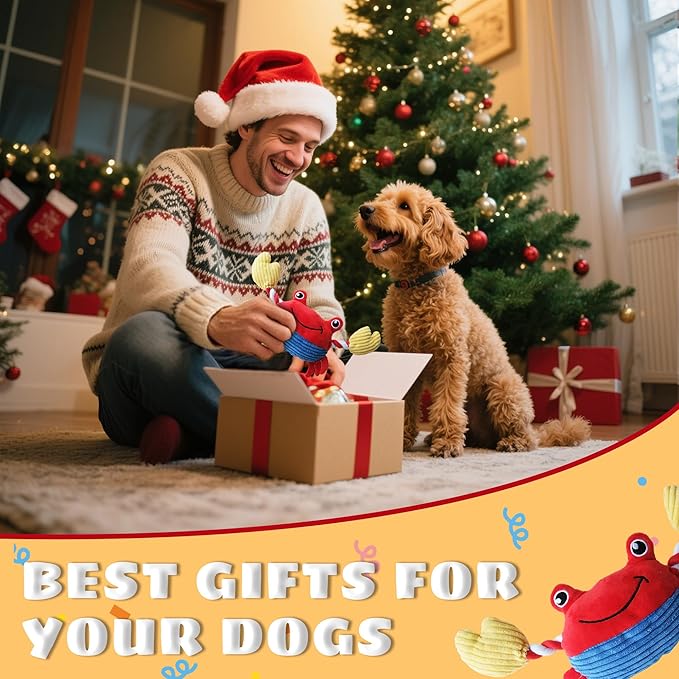 Squeak Plush Dog Toys for Small & Medium Breeds, Chew Rope to Keep Them Busy for Puppy Teething Chewing, Interactive Indoor/Outdoor Play, Best Pet Gift, Crab