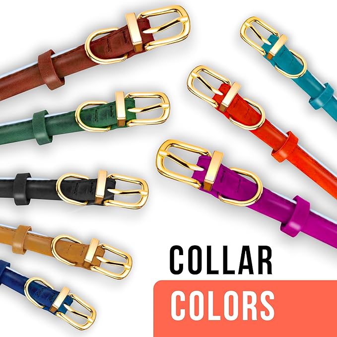 OOPSDOGGY Reflective Rolled Leather Dog Collar Adjustable Soft Padded Pet Collar for Small Medium Large Breed Dogs (Teal, XL, 17"-21")