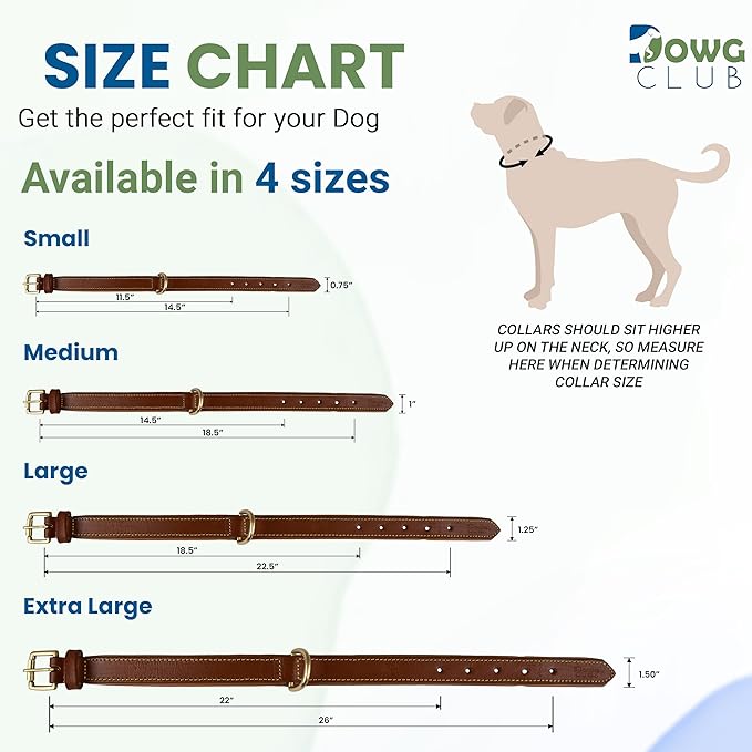 Leather Dog Collar | Leather Collar for Small Dogs, .75 Inch Wide Dog Collar Black | Genuine, Full Grain, Heavy Duty, Comfortable, Inner Padding (Small (Fit Neck Size 11.5"-14.5"), Black)