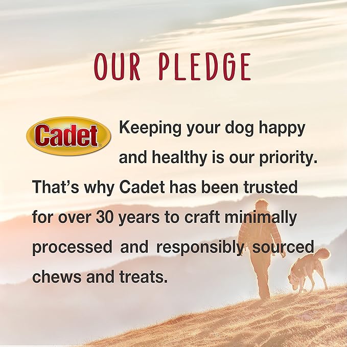 Cadet Bully Hide Sticks for Large Dogs, All-Natural Beef Pizzle, Limited-Ingredient Long-Lasting Dog Chews for Aggressive Chewers, 7 Count