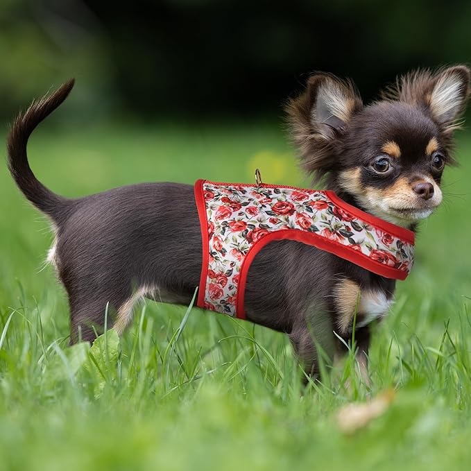 Mile High Life Dog Harness, Air Mesh Floral Vest Harness for 20 lbs Small Dogs & Cats, Easy Get on Adjustable Easy Closures Both Neck and Chest(Red Rose, XS Chest 14"-16")