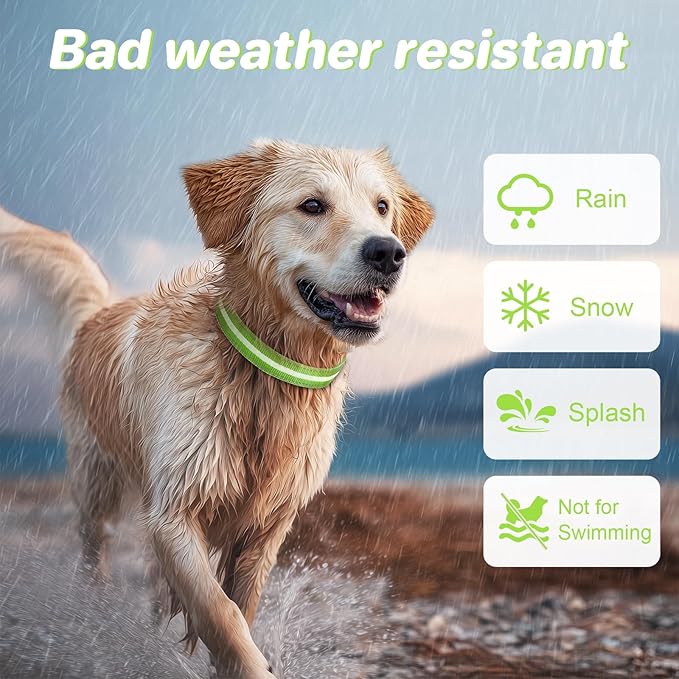 PcEoTllar Light Up Dog Collars, Led Dog Collar, Rechargeable, Night Walking, Waterproof, Glow in The Dark Dog Collars Light for Large Small Medium Dogs, Green s