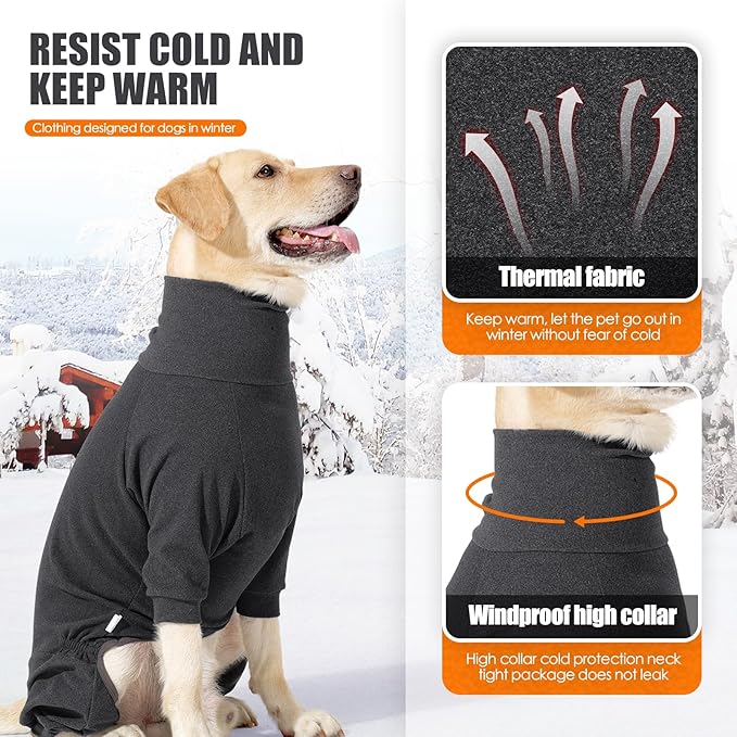 petapparel