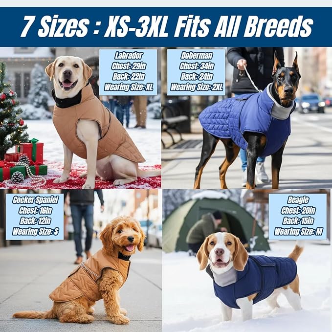 Upgraded Classic Quilted High-Loft Dog Winter Coat, Waterproof Outdoor Coats for Small Dogs, Lightweight & Thick Puppy Jacket with Leash Hole, 2-Layer Pet Vest Jackets for Dachshund Boston(Blue, S)