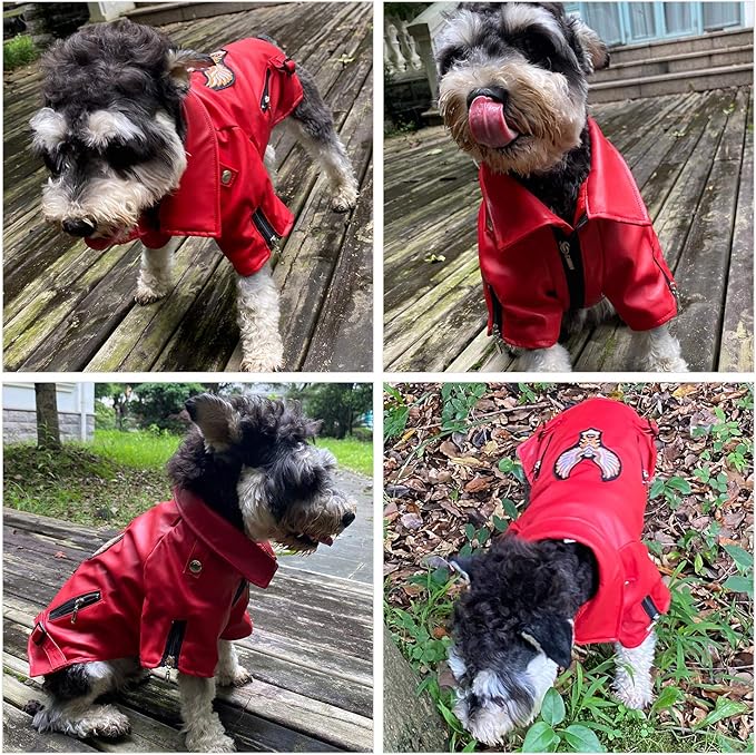 Lovelonglong Cool Dog Leather Jacket, Warm Coats Dogs Windproof Cold Weather Coats for Large Medium Small Dogs with Eagle Embroidery Red XS