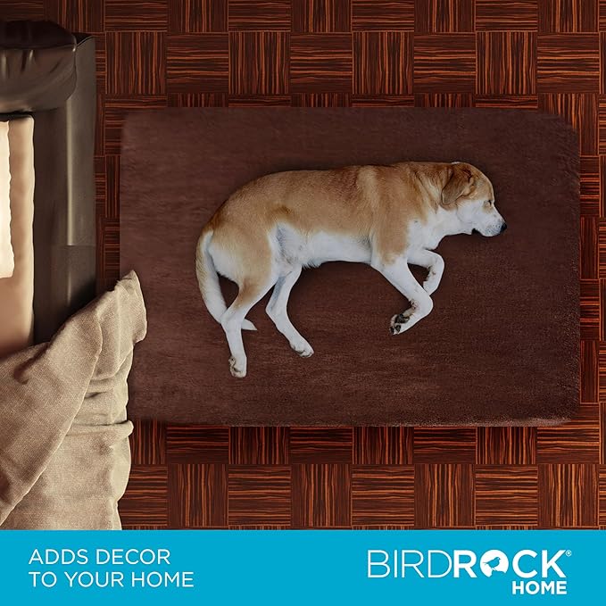 BIRDROCK HOME Large Brown