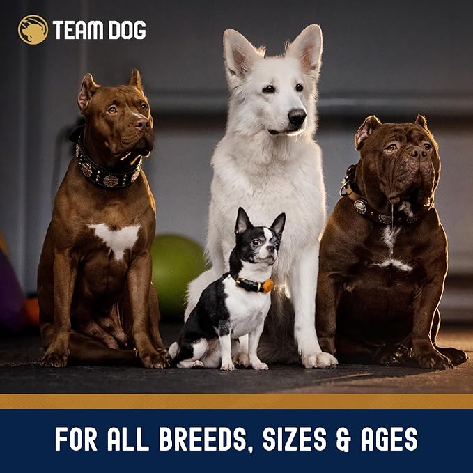 Team Dog Essential Blend Chicken & Sweet Potato | Sensitive Stomach Dog Food Small Breed & Large Breed | Gluten Free, GMO Free, No Corn, Wheat or Soy | All Life Stage Formula (33 lb Dry Dog Food)