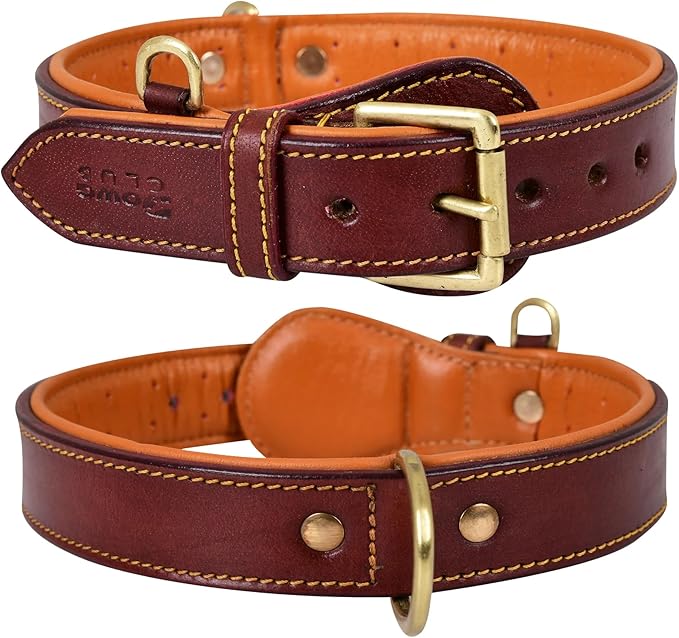 Genuine Leather Dog Collar – Full Grain, Breathable Inner Padding, Padded Buckle – Heavy Duty, Adjustable for Small, Medium, Large & XL Breeds (Dark Brown, M (Fit Neck Size 14.5"-18.5"))