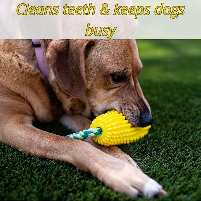 Squeaky Corn Dog Toy – Interactive Rubber TPR Chew Toy – Teeth Cleaning, Fetch & Tug – Water Float, Indoor & Outdoor Play – for Small, Medium & Large Dogs, Puppies & Seniors – Tail Town