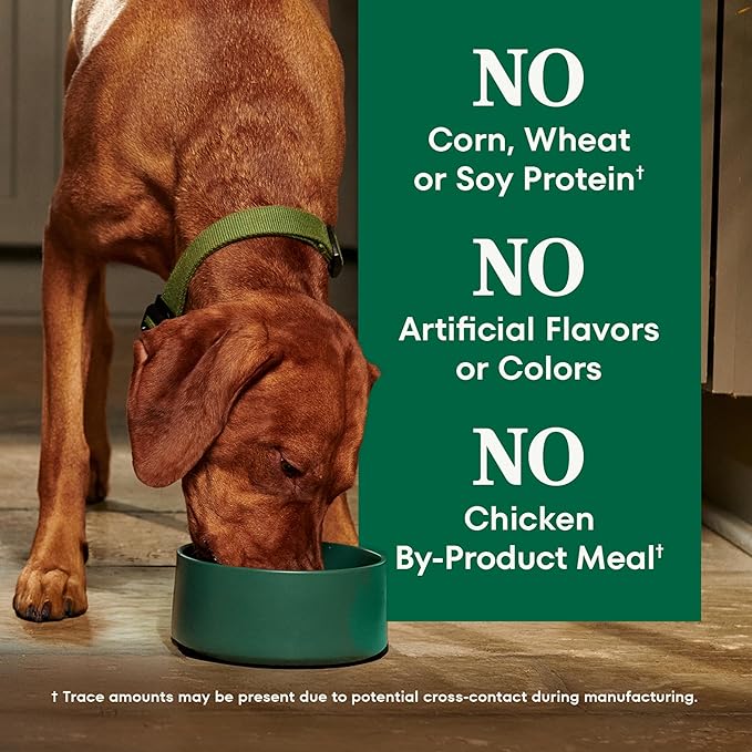 Nutro Natural Choice Chicken & Brown Rice Adult Large Breed Dog Food Dry Recipe, 13 lb. Bag
