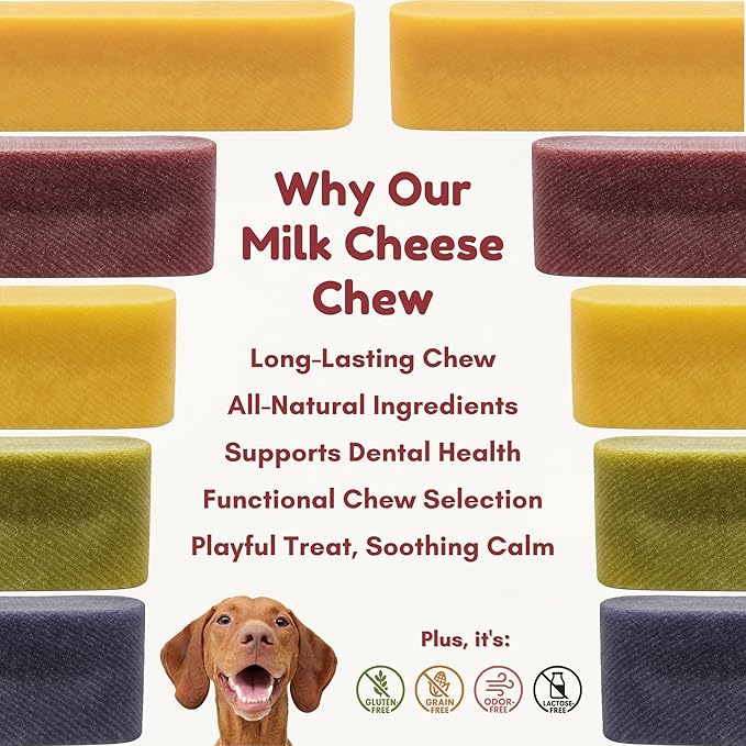 Majestic Pet Himalayan All-Natural Yak Cheese Dog Chews Made with 100% Cows Milk- Long Lasting Dental Chew for Dogs - Healthy Pet Treats (Urinary Tract Wellness, Regular, 1 Pack)