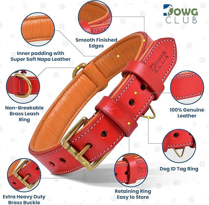 Leather Dog Collar for Medium Dogs, Red, 1 Inch Wide, Genuine Full Grain Leather, Heavy Duty with Soft Inner Padding, Comfortable and Durable (Medium (Fit Neck Size 14.5"-18.5"), Red)