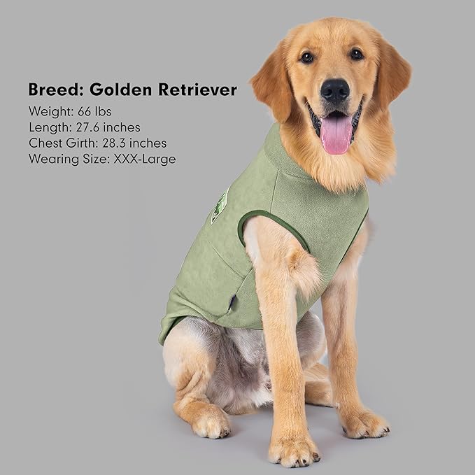 cyeollo Fleece Dog Sweater, Turtleneck Dog Sweatshirt Stretchy Pullover Fleece Vest Warm Winter Fall Clothes for Small Dogs Boy Puppy Pet Apparel, Green S