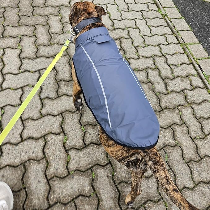 Mile High Life Dog Raincoat, Adjustable Waterproof Reflective Rain Jacket for Small Medium Large Dogs, Lightweight Breathable Pet Rain Coat with Leash Hole(Dark Gray,L Chest 32-40")
