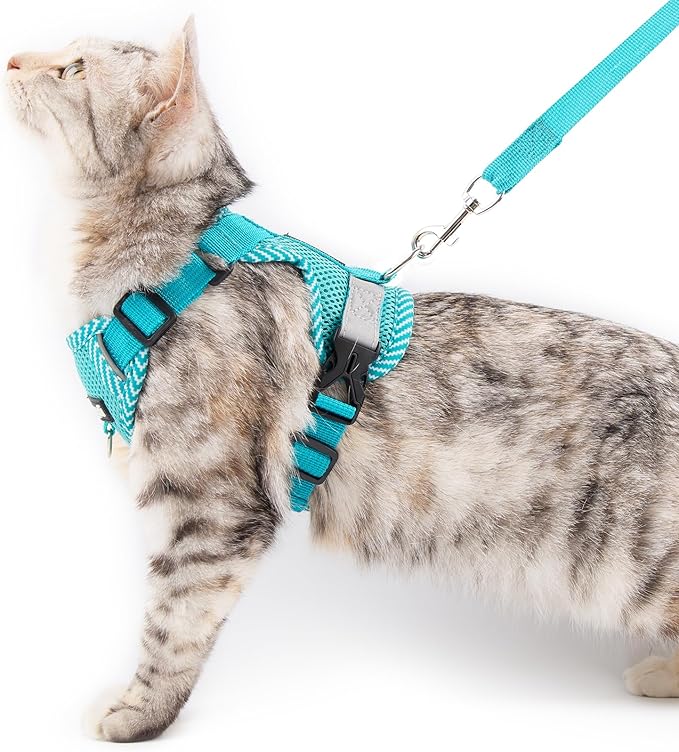 Cat Harness and Leash Escape Proof Small Kitten Harness Abyssinian Cat Vest for Walking Travel, Turquoise, S