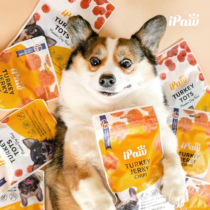iPaw Chicken Tots Dog Treats for Puppy Training, All Natural Human Grade Dog Treat, Hypoallergenic, Easy to Digest (Chicken Tots), 2 Packs