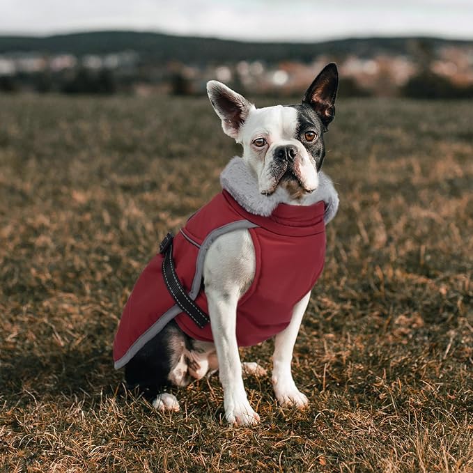 Lelepet Warm Dog Winter Coat Reflective Dog Jacket Fleece Vest Waterproof Windproof Cold Weather Coats with Adjustable Buckle Turtleneck Pet Snowsuit for Small Medium Large Dogs,Boxer,Pitbull,XXL