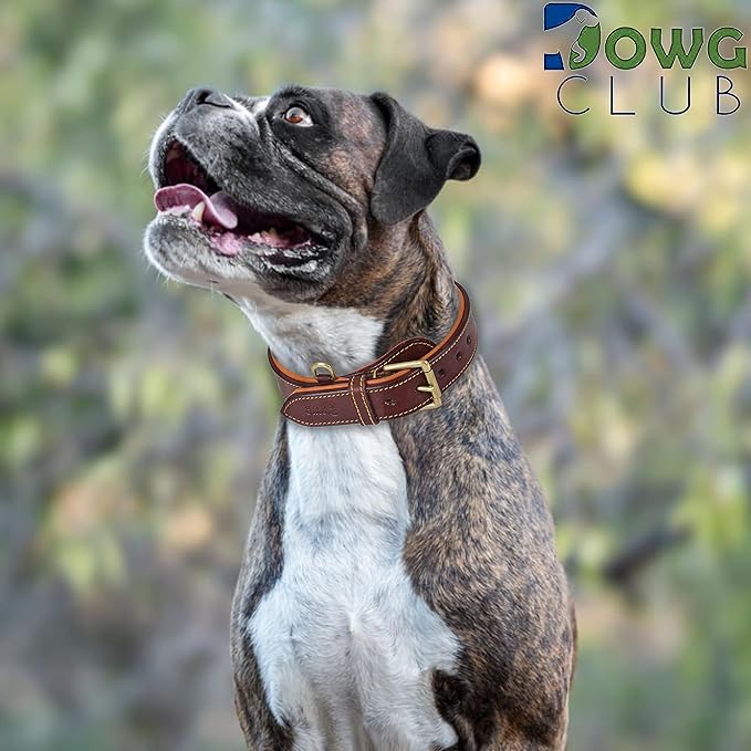 Genuine Leather Dog Collar – Full Grain, Breathable Inner Padding, Padded Buckle – Heavy Duty, Adjustable for Small, Medium, Large & XL Breeds | (Dark Brown, L (Fit Neck Size 18.5"-22.5"))